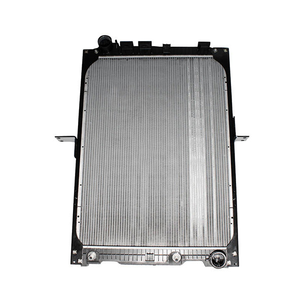 DOLPHIN RADIATOR 6525016901